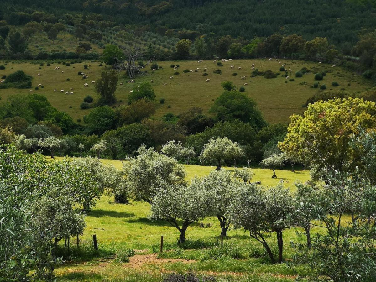 Monte Das Cascatas Marvão Eksteriør bilde